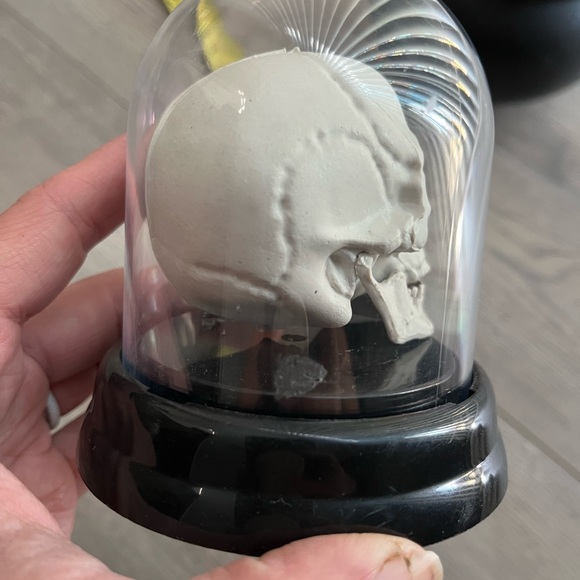 5 for $10 - skull in cloche - Picture 5 of 7